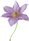 Kaz_Creations Deco Flower  Colours - ingyenes png animált GIF