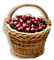 fruit cherries bp - PNG gratuit GIF animé