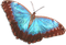 soave deco butterfly blue brown - png gratuito GIF animata