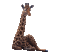 Giraffe bp - GIF animé gratuit GIF animé