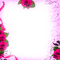 Frame.Roses.Pink - KittyKatLuv65 - png gratis GIF animado