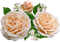 rose, kukka, fleur, flower - Free PNG Animated GIF