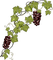 grapes raisin - nemokama png animuotas GIF