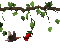 hummingbird - Bezmaksas animēts GIF