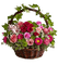 fleurs - ilmainen png animoitu GIF