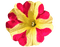 Petunia - png gratuito GIF animata