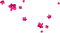 Flowers.Pearls.White.Pink - PNG gratuit GIF animé