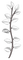 white leaves branch - ilmainen png animoitu GIF