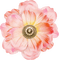 Fleur Rose:) - ilmainen png animoitu GIF