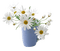 Flowers dm19 - δωρεάν png κινούμενο GIF