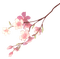 ✶ Flowers {by Merishy} ✶ - darmowe png animowany gif