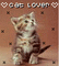 Cat Lover Icon - Bezmaksas animēts GIF animēts GIF