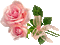Sparkly pink roses - GIF animado grátis Gif Animado