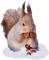 Kaz_Creations Squirrel - gratis png geanimeerde GIF