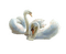 cygnes swan family pond - PNG gratuit GIF animé