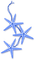 Starfish.Blue - PNG gratuit GIF animé
