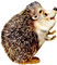 Y.A.M._Little animals, hedgehog - gratis png geanimeerde GIF