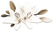 soave deco branch flowers spring lilies sepia - ücretsiz png animasyonlu GIF