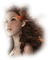 Kaz_Creations Woman Femme Autumn - gratis png animeret GIF