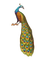 Kaz_Creations Peacock Bird - ücretsiz png animasyonlu GIF