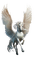 Cheval ailé - darmowe png animowany gif