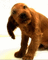 doggie - Free animated GIF Animated GIF