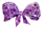 Kaz_Creations Purple Violet Scrap Deco - nemokama png animuotas GIF