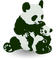 PANDA BEar - darmowe png animowany gif