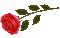 Trandafir 10 - Bezmaksas animēts GIF animēts GIF