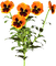 fleur - ilmainen png animoitu GIF