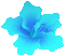 turquoise animated flower