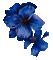 Blumen-Flowers-fleurs - GIF animé gratuit GIF animé