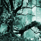 Y.A.M._Fantasy forest background blue - Zdarma animovaný GIF animovaný GIF