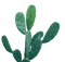 kikkapink tropical plant summer deco - ücretsiz png animasyonlu GIF