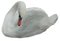 swan - zdarma png animovaný GIF