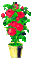 roses pot - GIF เคลื่อนไหวฟรี GIF แบบเคลื่อนไหว