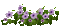 цветы - Ingyenes animált GIF animált GIF