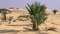 desert background bp - gratis png animerad GIF