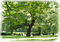 Natur - безплатен png анимиран GIF
