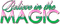Believe In The Magic.Text.Pink.Green - ingyenes png animált GIF