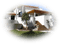 tube maison - Free PNG Animated GIF