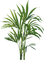 tub arbre - PNG gratuit GIF animé