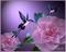 MMarcia fundo floral - gratis png geanimeerde GIF