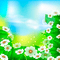 Y.A.M._Summer background flowers - png gratuito GIF animata