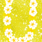 DI ./ BG / anim..flowers.hawai..yellow.idca - Бесплатни анимирани ГИФ анимирани ГИФ