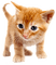 chat - 無料png アニメーションGIF