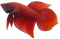 peixe - Free PNG Animated GIF