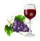 grapes, viinirypäle, hedelmä