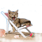 CAT ON BEACH CHAIR