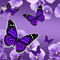 Butterfly - zdarma png animovaný GIF